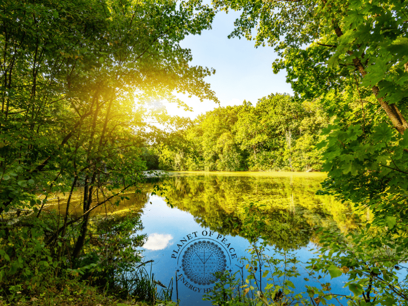 Woman standing in nature with sunlight shining through trees, symbolizing healing, freedom, and emotional clarity