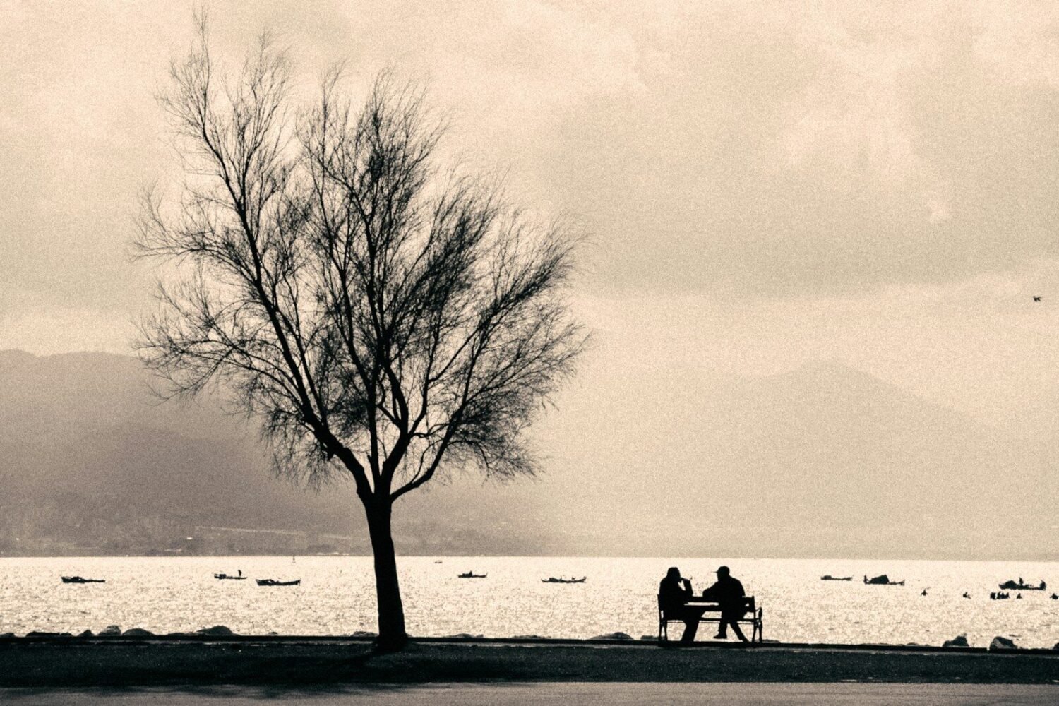 Two people sit on a bench by the water.