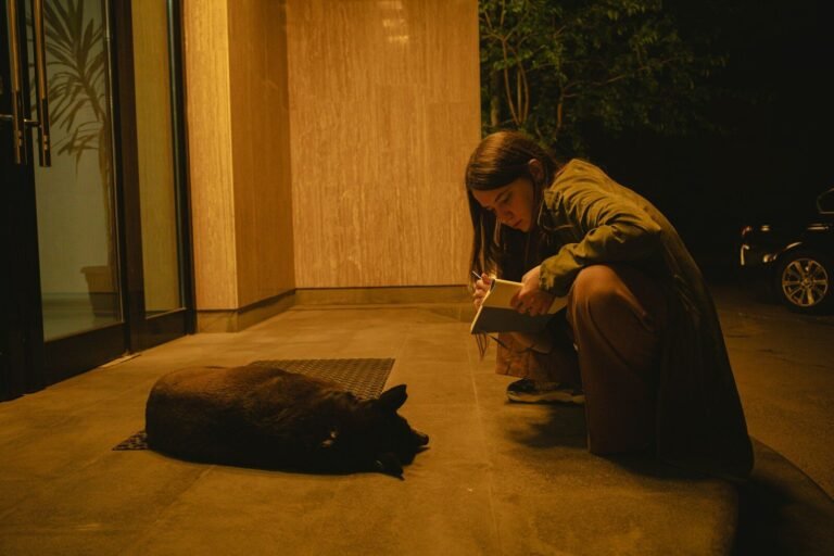 a woman kneeling down next to a cat