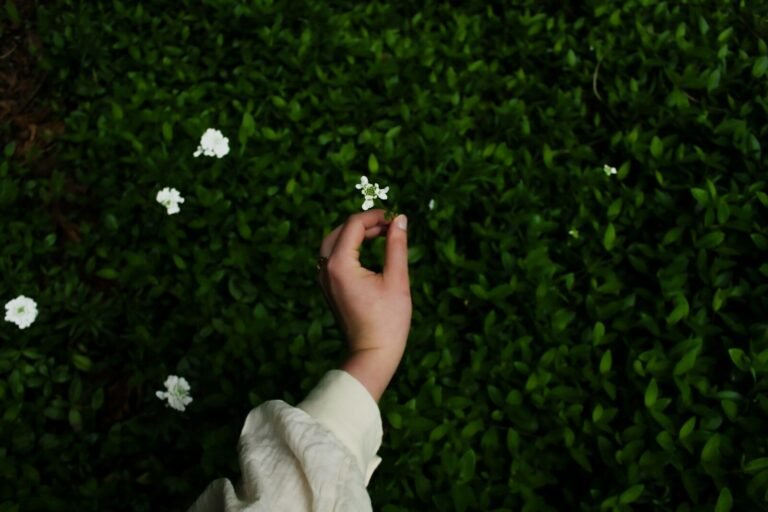 A hand gently touches a delicate white flower.