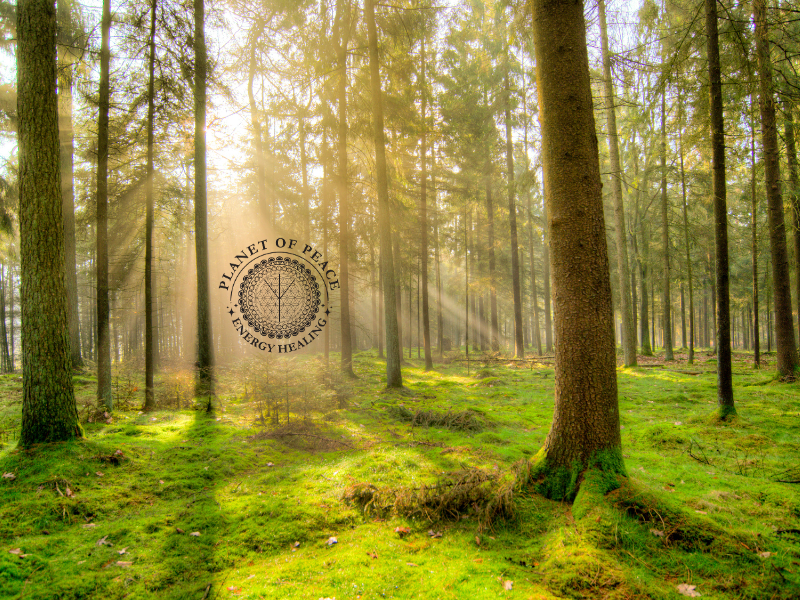 A soft sunrise breaking through morning fog, symbolizing the release of confusion
