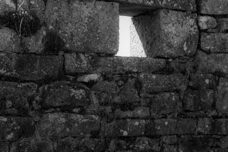 gray brick wall during daytime